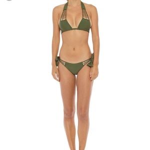 Acacia secrets green top